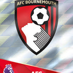 010 Team Badge