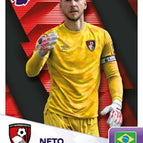 011 Neto
