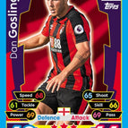 015 Dan Gosling