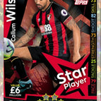 017 Callum Wilson
