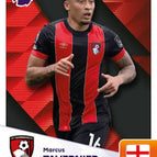 019 Marcus Tavernier