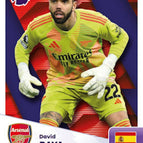029 David Raya