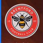 055 Team Badge - Parallel Blue