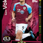 071 Sam Vokes