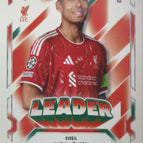 083 Virgil van Dijk