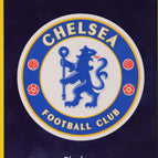091 Team Badge - Parallel Yellow