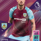 96 Ashley Barnes