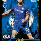 096 Gary Cahill