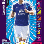 104 Gareth Barry