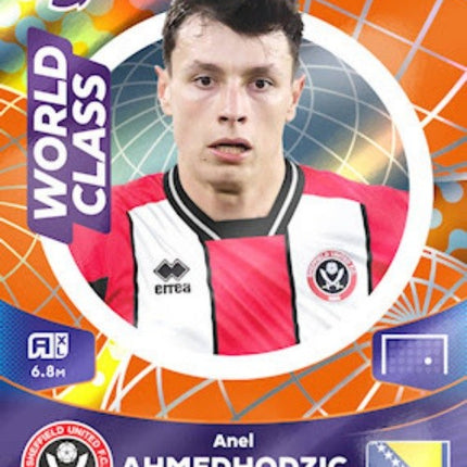 Special Cards | APL 23-24