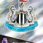 262   Team Badge