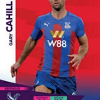 246 Gary Cahill