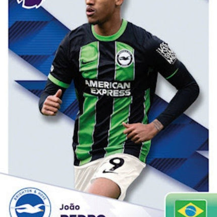 Brighton and Hove | APL 24-25