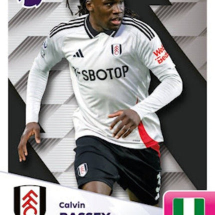 Fulham | APL 24-25