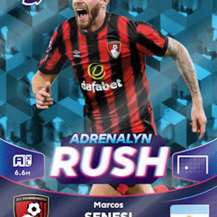 Special Cards | APL 23-24