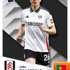 166   Joao Palhinha