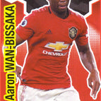 205 Aaron Wan-Bissaka
