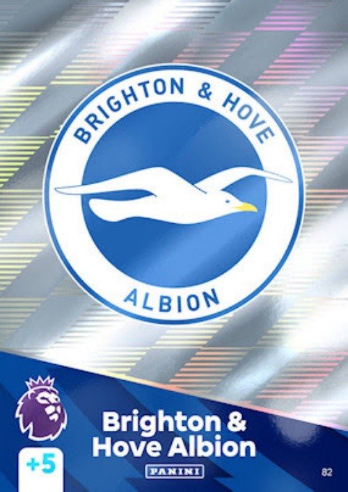 Brighton and Hove Albion | APL 24-25