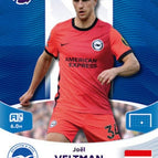 088 Veltman