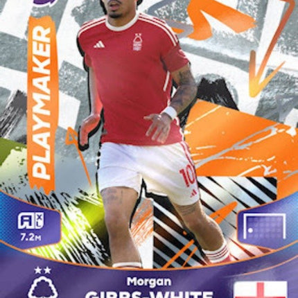 Special Cards | APL 23-24
