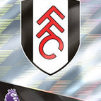 154   Team Badge