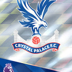 118  Team Badge