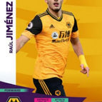 149 Raul Jimenez