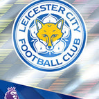 190   Team Badge
