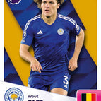 193   Wout Faes