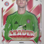208  Manuel Neuer