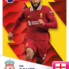 210   Joe Gomez