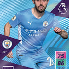 219 Bernardo Silva