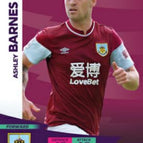 221 Ashley Barnes