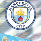 226   Team Badge