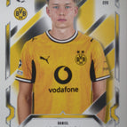 229  Daniel Svensson