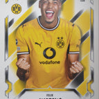230  Felix Nmecha