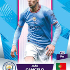232  Joao Cancelo