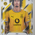 235  Fabio Silva