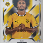 236  Karim Adeyemi