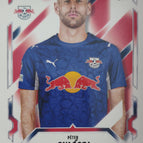 244  Péter Gulácsi