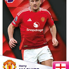 247   Harry Maguire