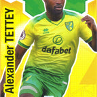 248 Alexander Tettey