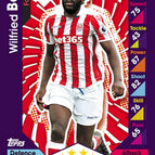 248 Wilfried Bony