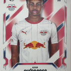 249  Assan Ouédraogo
