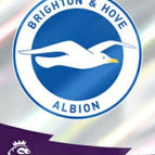 262 Brighton and Hove Albion Club Badge