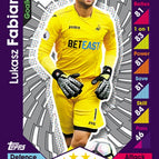 272 Lukasz Fabianski