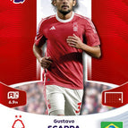 294 Gustavo Scarpa