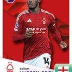 295   Callum Hudson-Odoi
