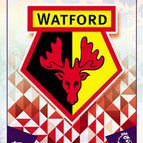 307 Club Badge