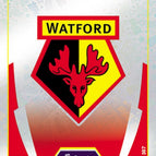 307 Club Badge